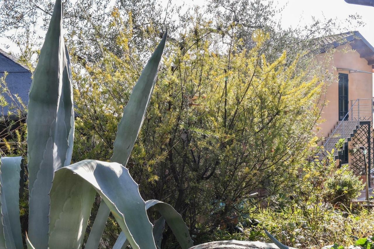 Appartamento Agriturismo L'Arte del Verde Amelia Esterno foto